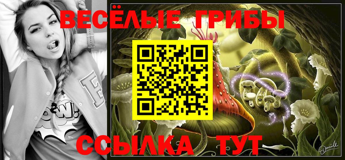 Галлюциногенные грибы Psilocybe Саяногорск