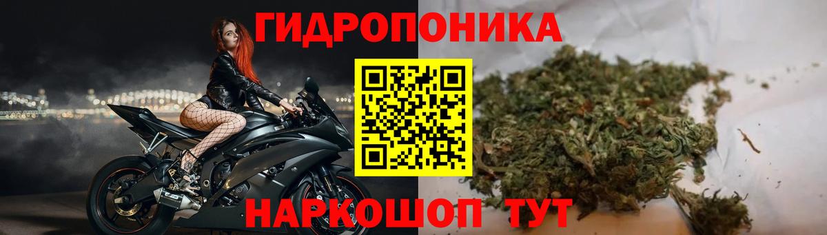 Бошки марихуана Bruce Banner  Марихуана Amnesia  Саяногорск  МАРИХУАНА сатива  Вход с VPN  Шишки марихуана гибрид 
